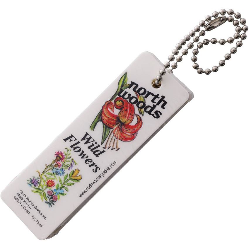 Wildflower Field Guide