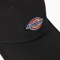 Dickies Low Profile Dad Hat