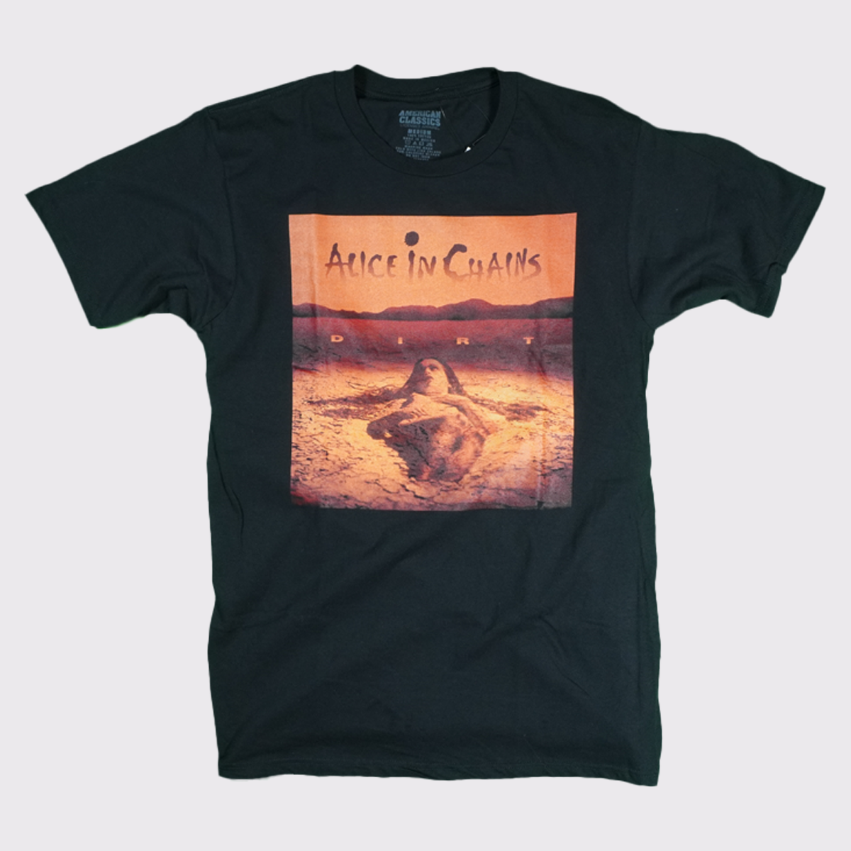 Alice In Chains (Dirt Album) Tee